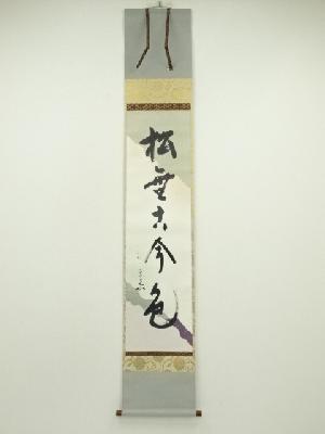 堀内家十二代　宗完　兼中斎筆　「松無古今色」一行書　太巻　肉筆紙本掛軸（共箱）